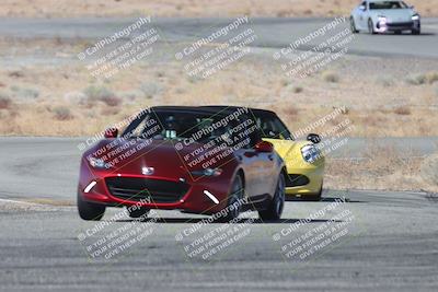 media/Feb-01-2025-Lotus Club of SoCal (Sat) [[a36ae487cb]]/Novice/Skid Pad/